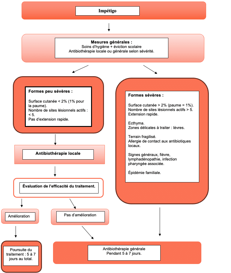 diagramme impétigo