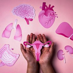 Design sans titre - 1