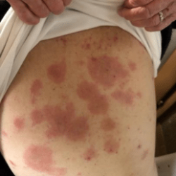 Capture d’écran 2024-06-04 101701